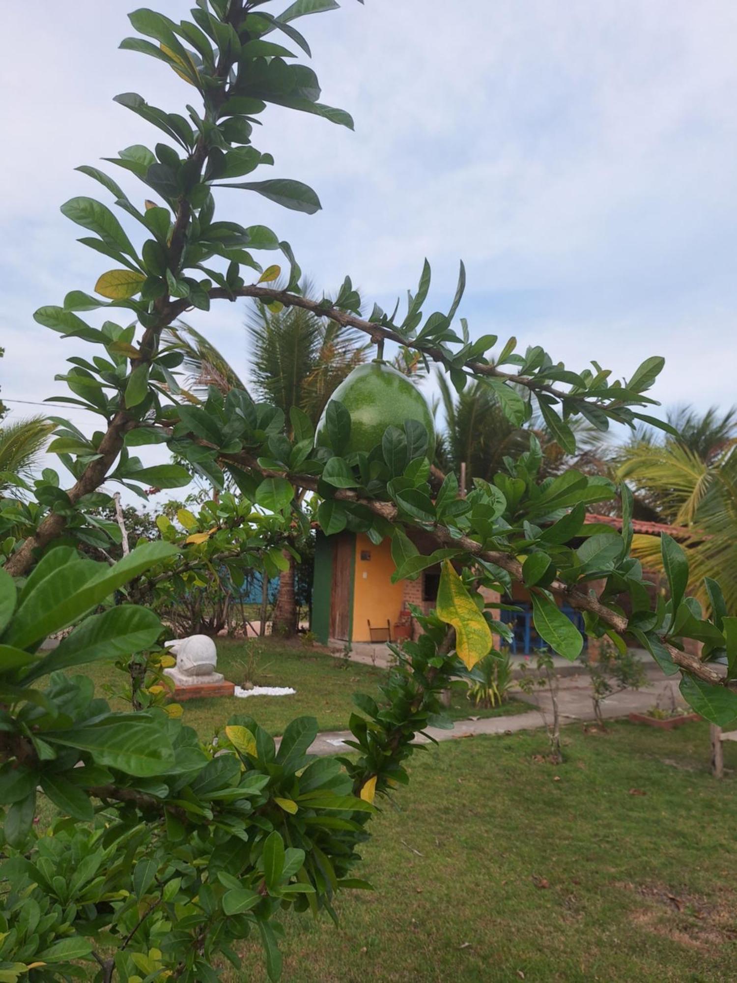 Costa Dourada Casas Lindas No Paraiso! חדר תמונה